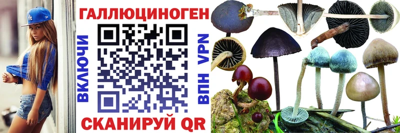 Купить где  Безенчук  Псилоцибиновые грибы мухоморы 
